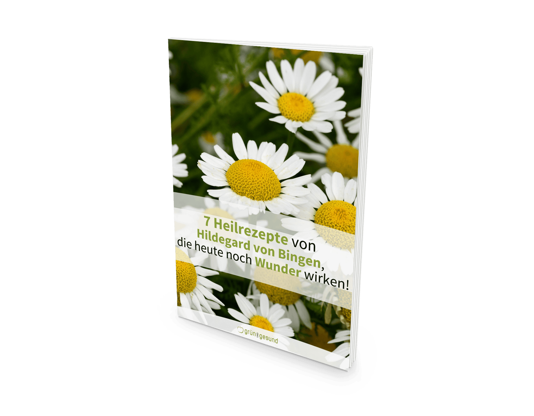 7 Heilrezepte von Hildegard von Bingen