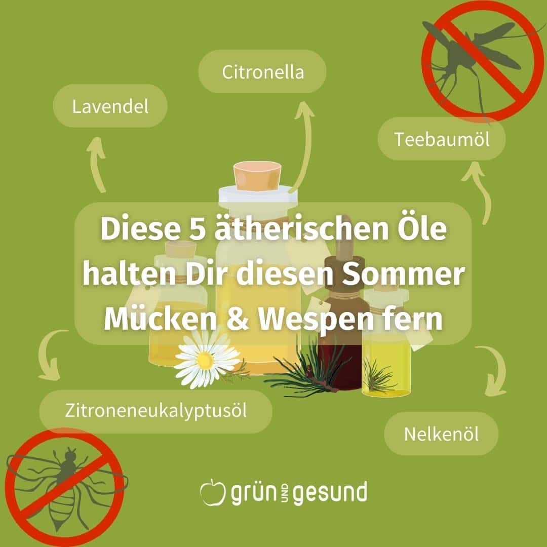 Ätherische Öle gegen Mücken und Wespen Ätherische Öle gegen Mücken und Wespen