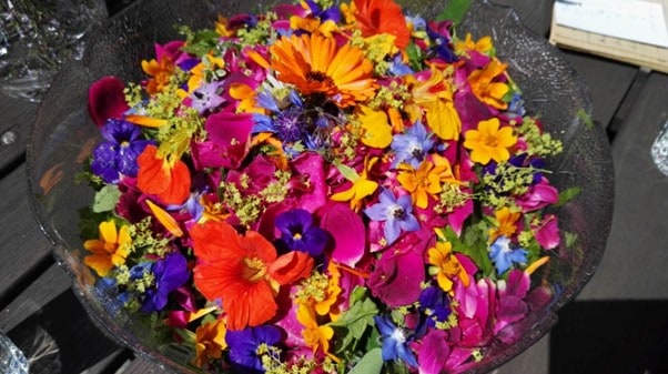 Blütensalat aus dem Garten Blütensalat aus dem Garten
