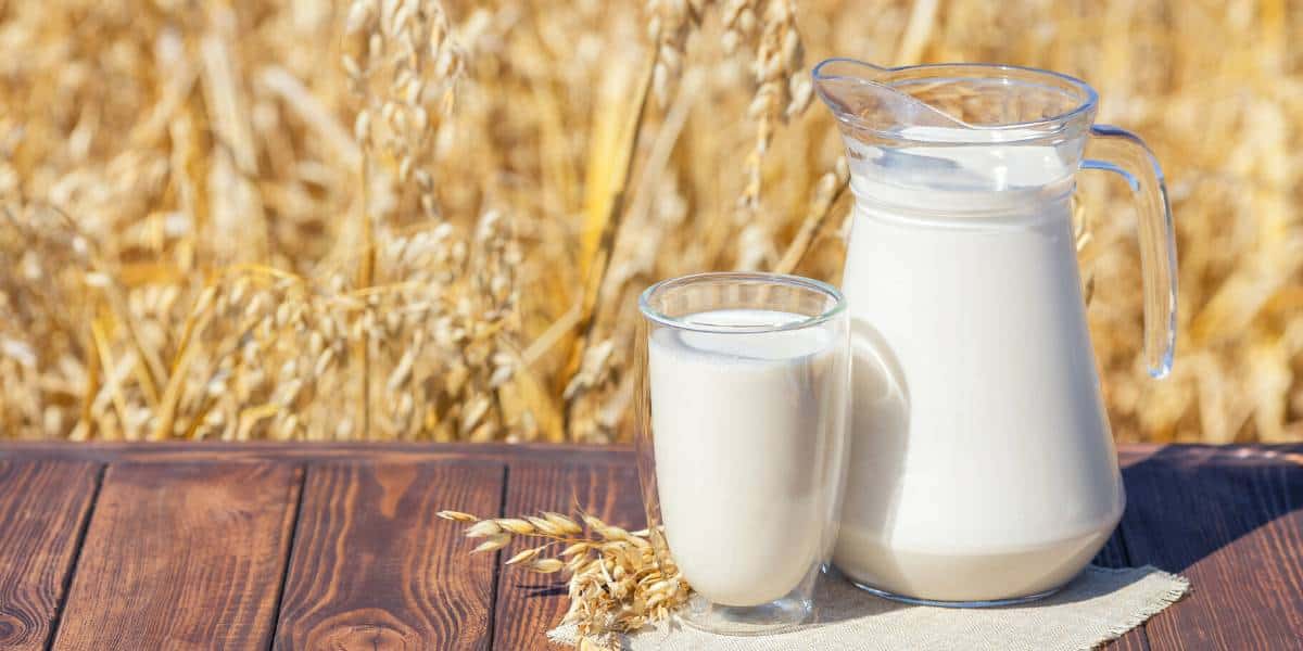 Hafermilch Titelbild gesunde Ernährung Hafer