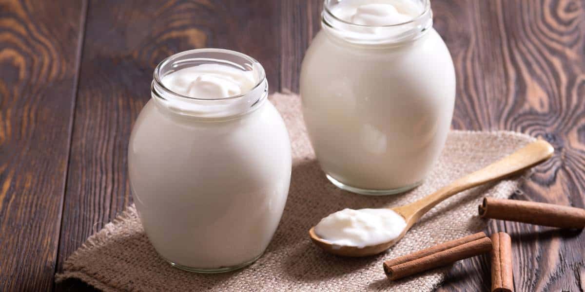 Joghurt selbst herstellen Titelbild