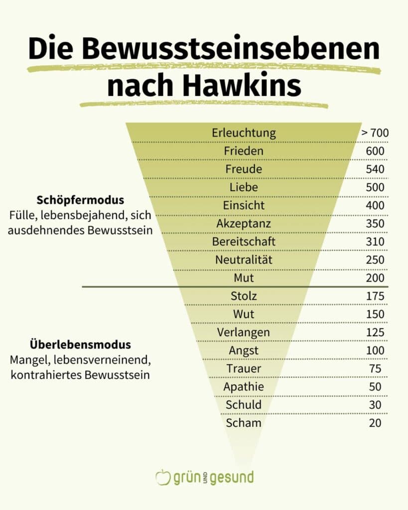 bewusstseinsebenen nach hawkins schwingungsfrequenz